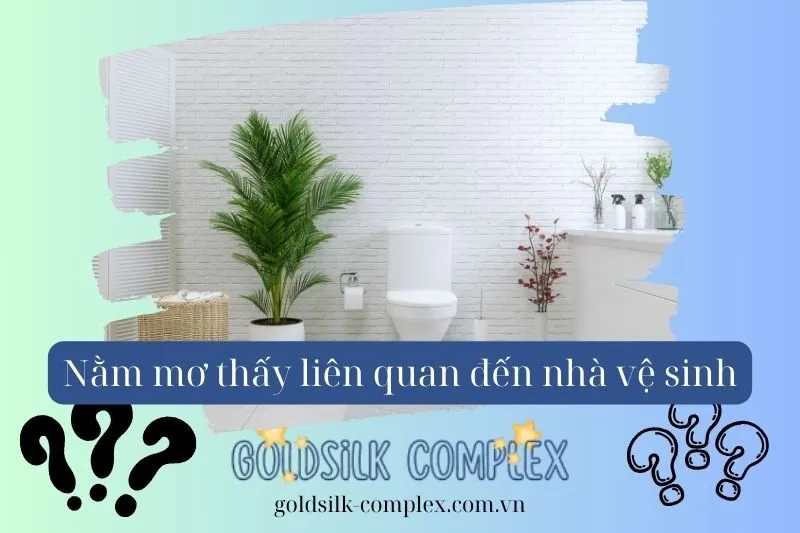 Nằm mơ thấy nhà vệ sinh: Con số may mắn, Điềm báo gì và cách giải mã chi tiết