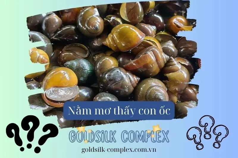 Nằm mơ thấy ốc: Nên chọn con số nào, ý nghĩa và điềm báo về tình duyên, tài lộc