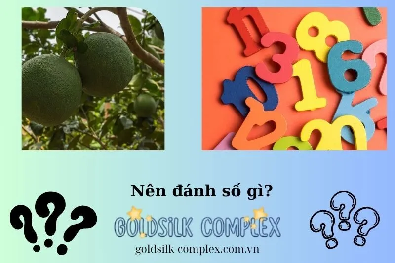 Nằm Mơ Thấy Quả Bưởi Đánh Con Gì Phát Tài