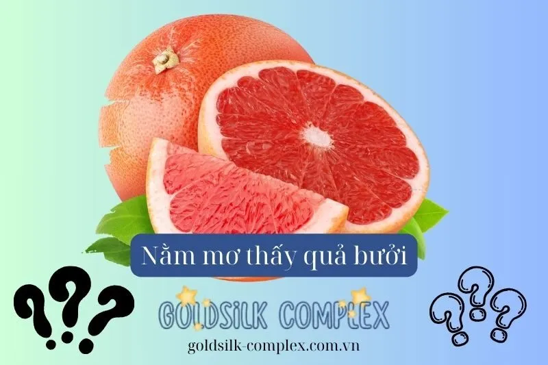 Nằm mơ thấy quả bưởi là điềm báo gì? Giải mã và con số may mắn 2025