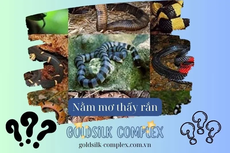 Nằm mơ thấy rắn từ 1 - nhiều con, nhiều màu: Điềm báo tốt hay xấu? Giải mã chi tiết giấc mơ