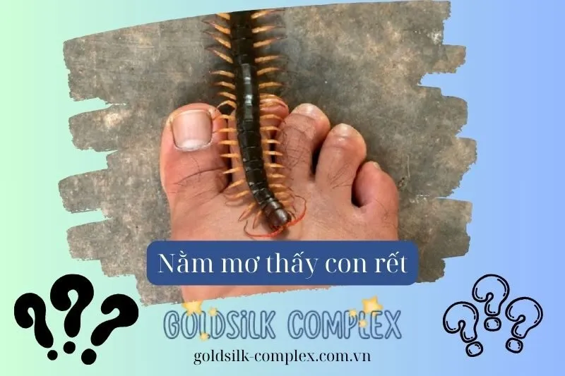 Nằm mơ thấy rết: Giải mã điềm báo, ý nghĩa và con số may mắn mới nhất 2025
