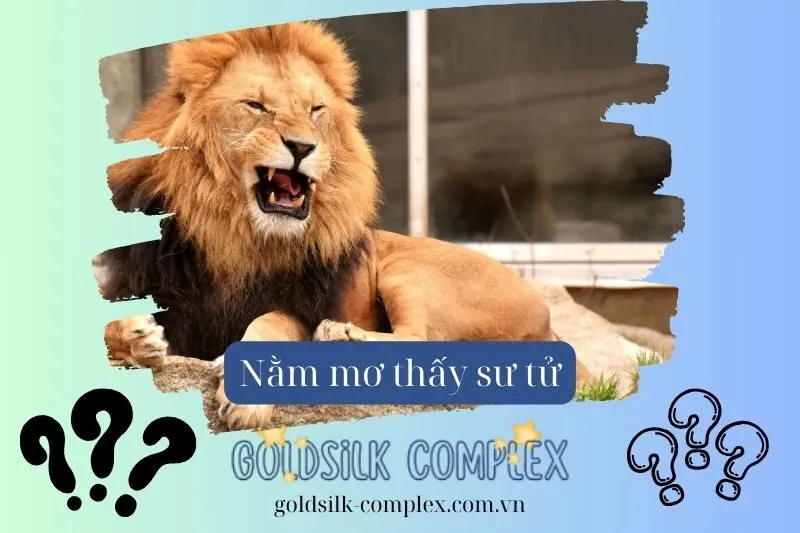 Nằm mơ thấy sư tử có tác động gì đến công việc và cuộc sống