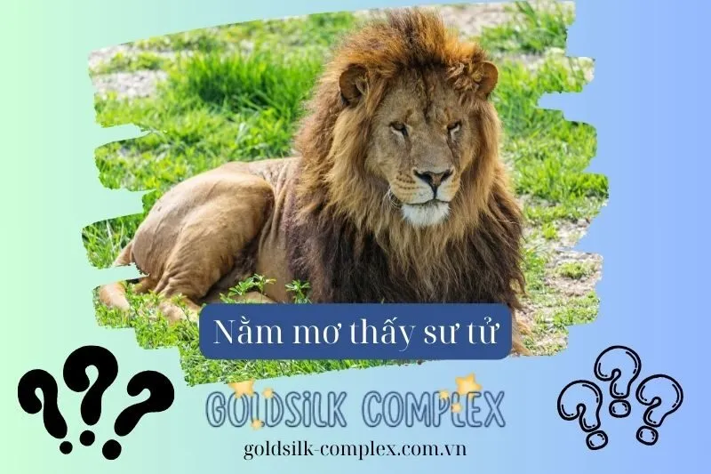 Nằm mơ thấy sư tử có ý nghĩa gì? Giải mã các con số may mắn 2025