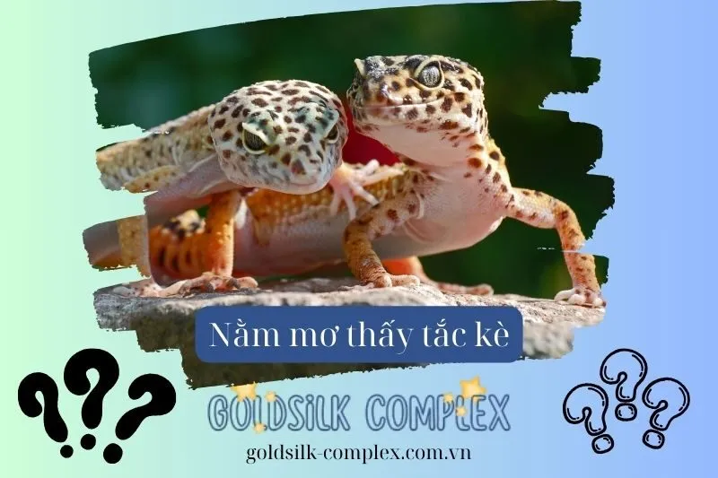 Nằm mơ thấy tắc kè có ý nghĩa gì? Giải mã điềm báo và con số may mắn