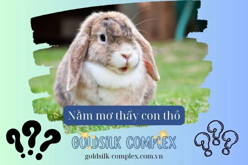 Nằm Mơ Thấy Thỏ: Ý Nghĩa, Điềm Báo Tương Lai và Con Số May Mắn 2025