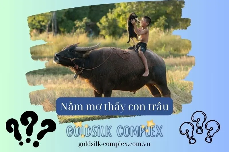 Nằm mơ thấy trâu: Con số may mắn, Điềm báo phú quý và thịnh vượng 2025