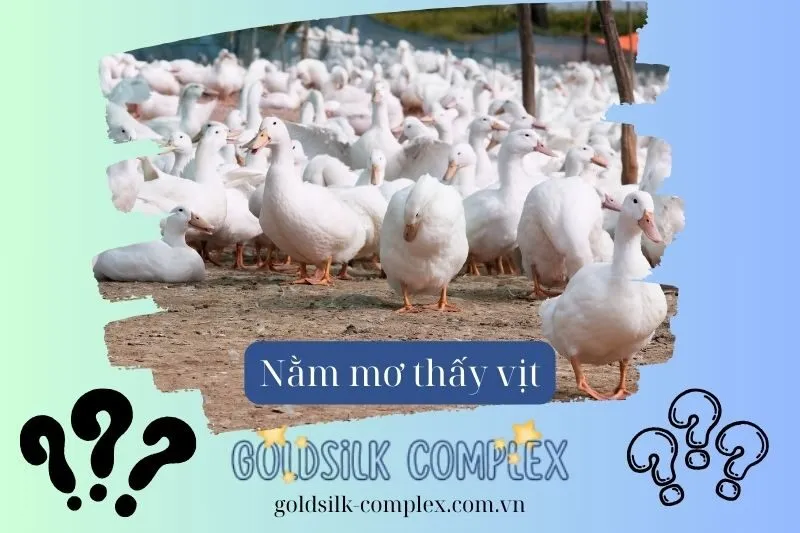 Nằm mơ thấy vịt: Con số may mắn, Ý nghĩa và điềm báo 2025