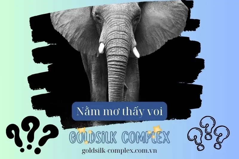 Nằm mơ thấy voi trắng có ý nghĩa gì