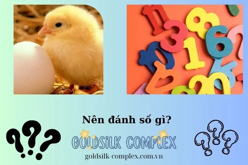 Những con số may mắn khi mơ thấy gà