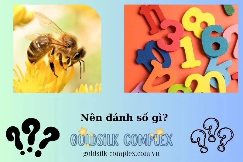 Những con số may mắn khi mơ thấy ong