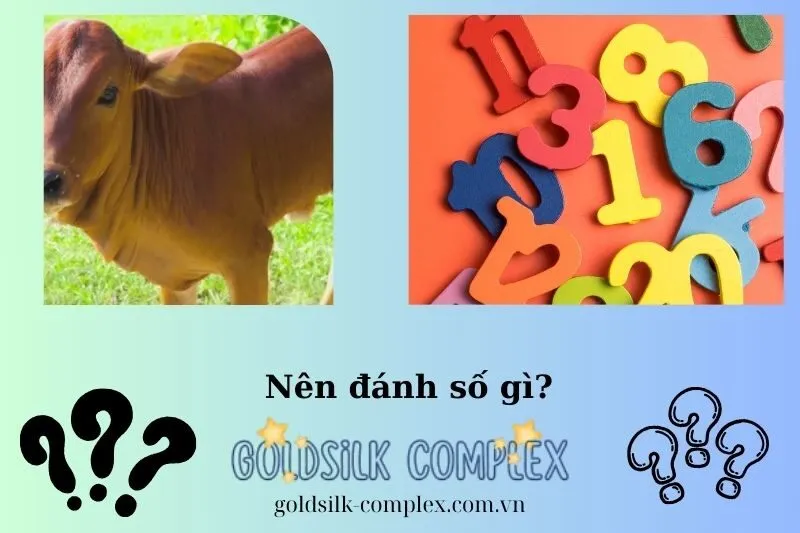 Những con số may mắn khi nằm mơ thấy bò