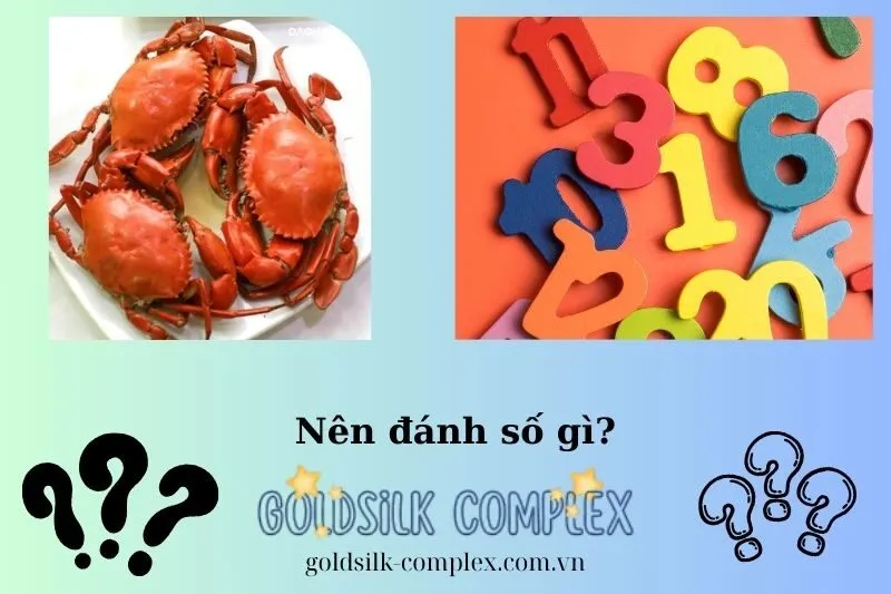 Những con số may mắn khi nằm mơ thấy cua