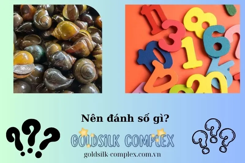 Những con số may mắn khi nằm mơ thấy ốc