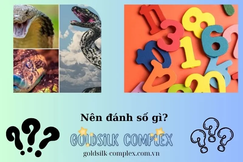 Những Con Số May Mắn Khi Nằm Mơ Thấy Rắn