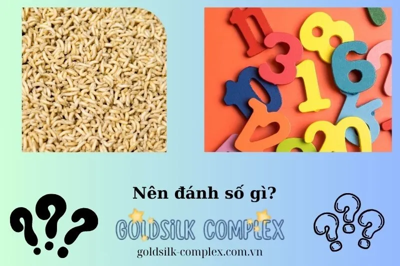 Những con số may mắn liên quan đến giấc mơ thấy dòi