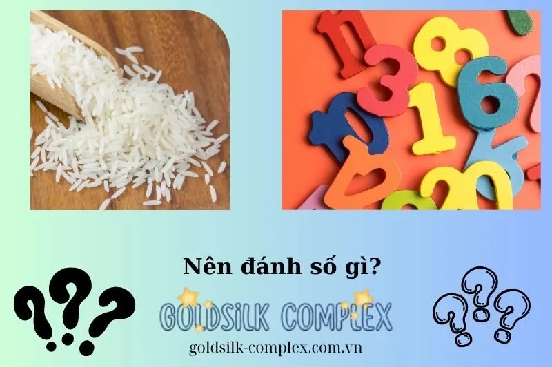 Những con số may mắn liên quan đến giấc mơ thấy gạo