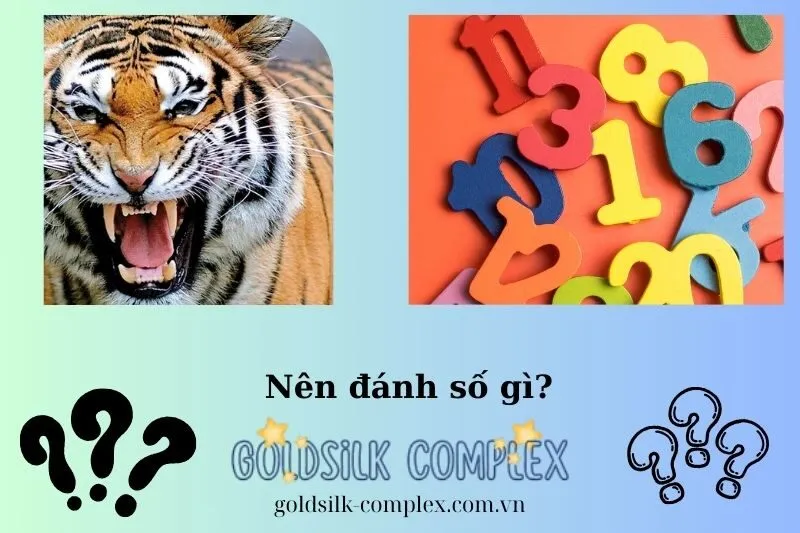 Những con số may mắn liên quan đến giấc mơ thấy hổ