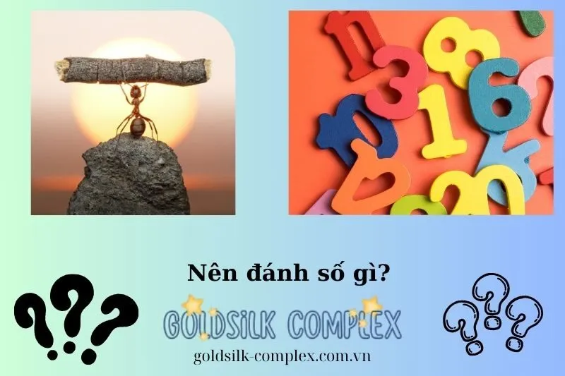 Những con số may mắn liên quan đến giấc mơ thấy kiến