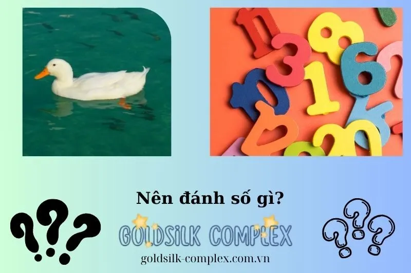 Những con số may mắn từ giấc mơ nằm mơ thấy vịt