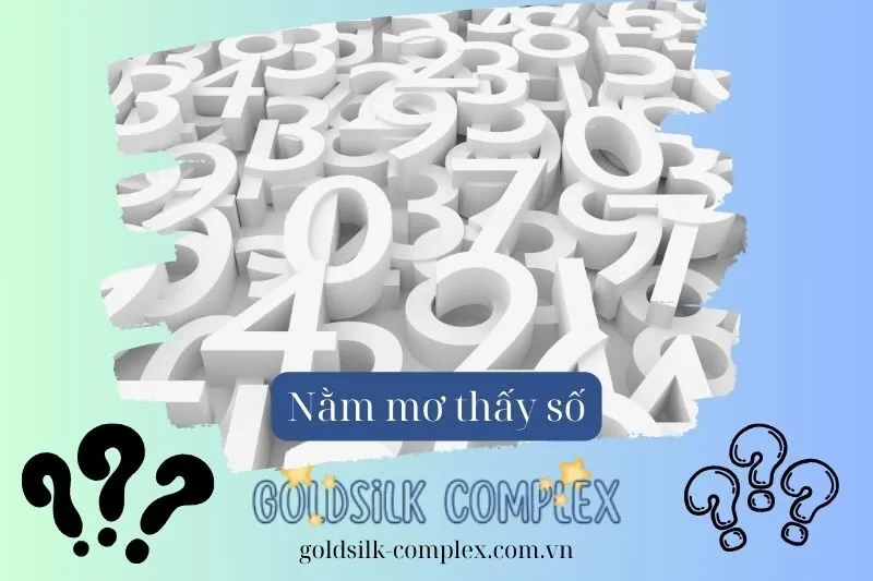 Những Con Số Tài Lộc Khi Nằm Mơ Thấy Số