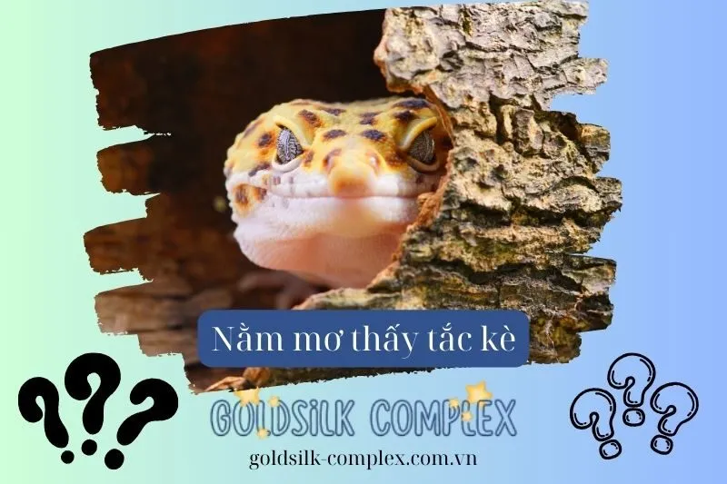 Những điều cần làm để hóa giải hoặc đón nhận điềm báo