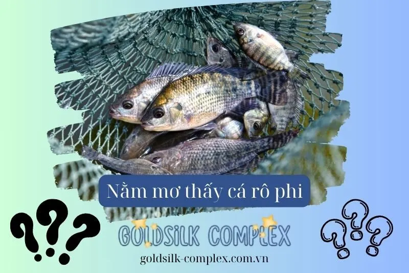 Những điều cần lưu ý sau khi nằm mơ thấy cá rô