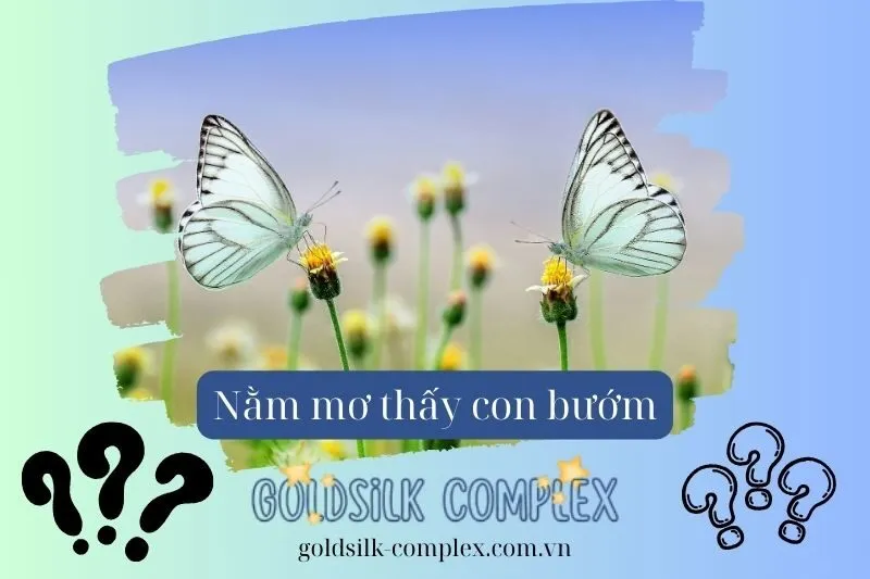 Những giấc mơ đặc biệt liên quan đến bướm