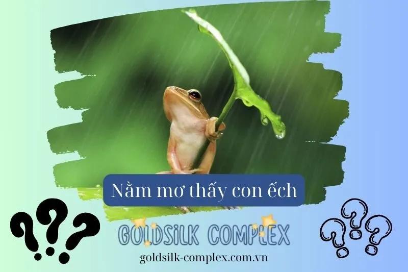 Những giấc mơ thấy ếch đặc biệt và điềm báo đi kèm