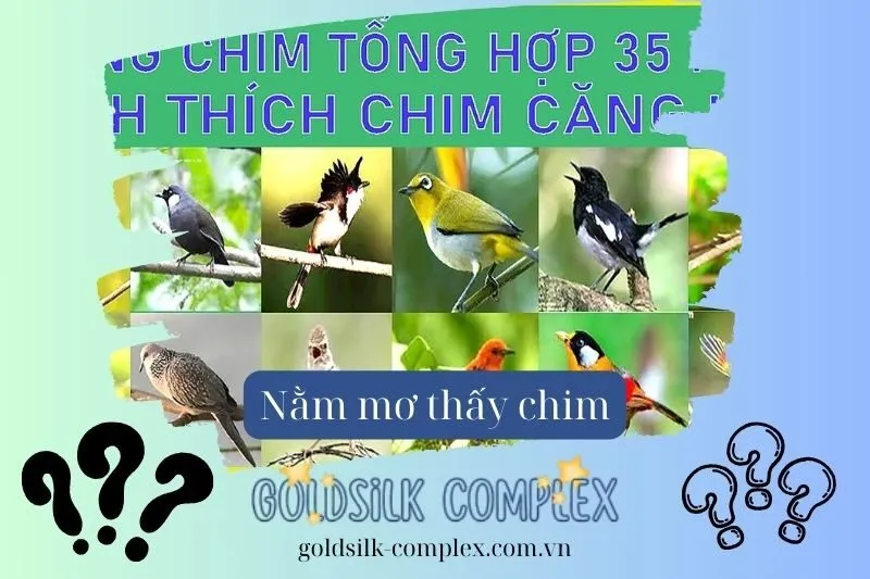 Những loài chim phổ biến trong giấc mơ và ý nghĩa của chúng