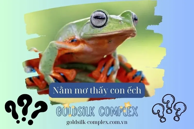 Những tình huống mơ thấy ếch phổ biến và cách giải mã