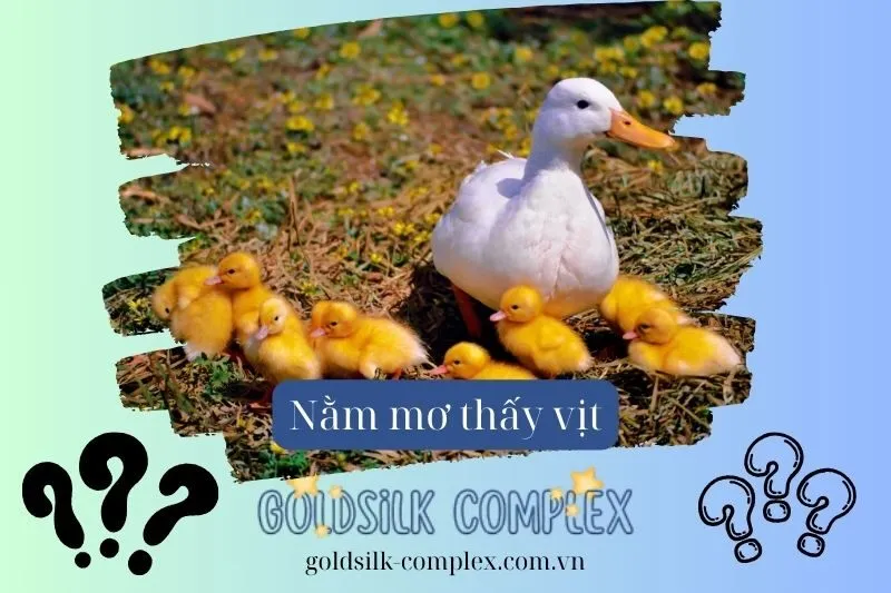 Những tình huống tiêu cực có thể gặp trong giấc mơ thấy vịt