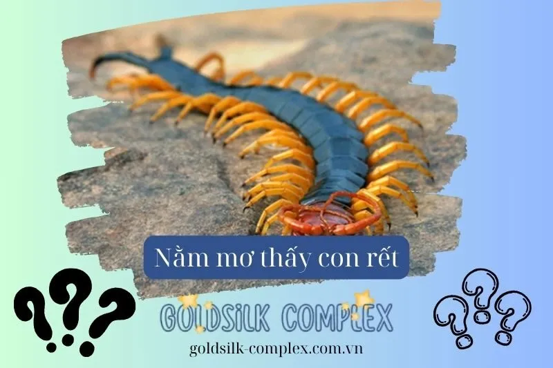 Rết Trong Đời Thực Và Những Điều Bạn Cần Biết