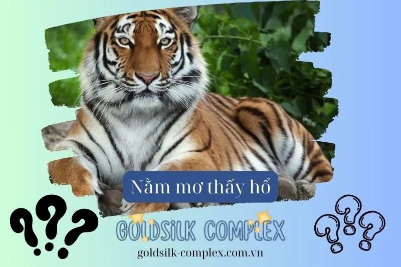 Tác động của giấc mơ thấy hổ đối với tài chính và sự nghiệp