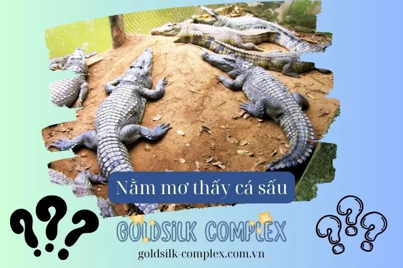 Tầm quan trọng của việc hiểu rõ giấc mơ cá sấu trong cuộc sống