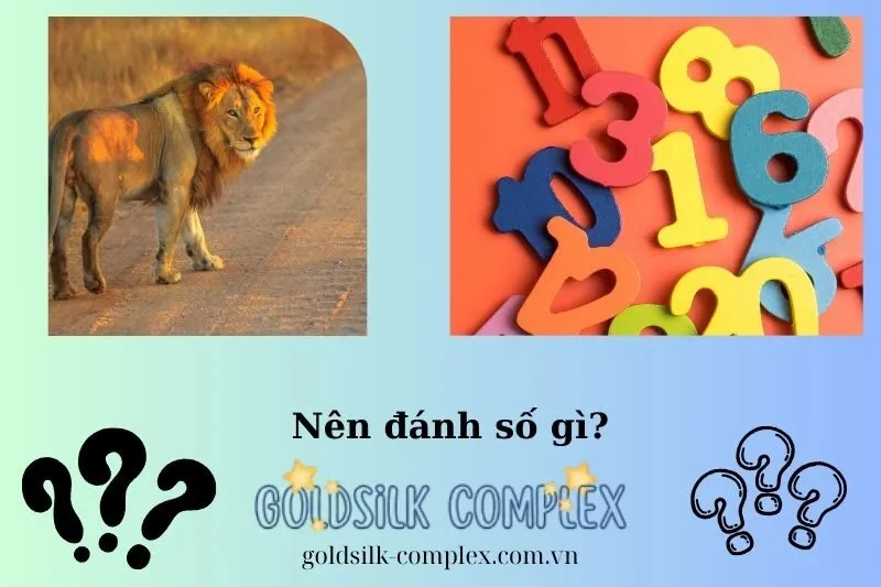 Ý nghĩa các con số liên quan đến giấc mơ thấy sư tử