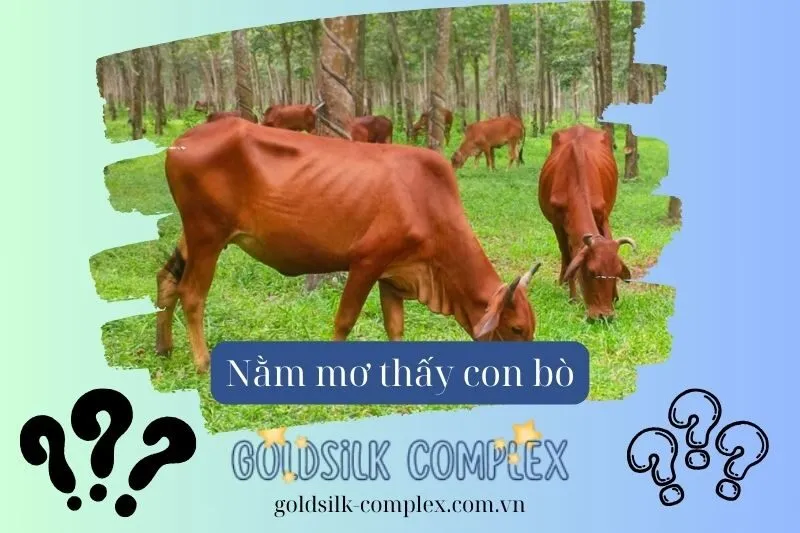 Ý nghĩa các giấc mơ thấy bò theo từng tình huống