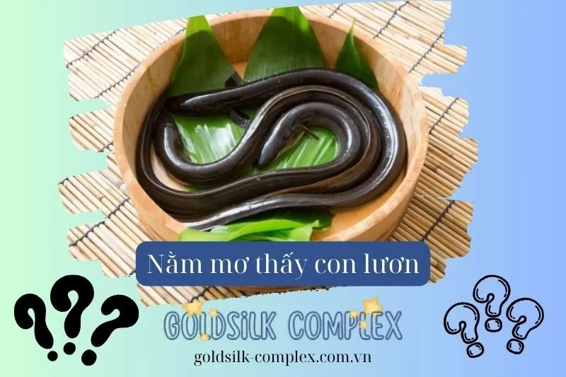 Ý nghĩa các giấc mơ thấy lươn cụ thể