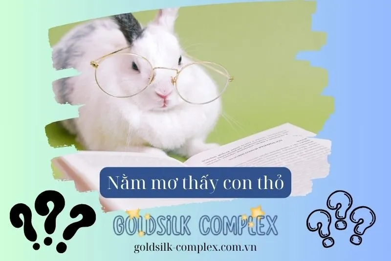 Ý Nghĩa Các Tình Huống Thường Gặp Khi Mơ Thấy Thỏ