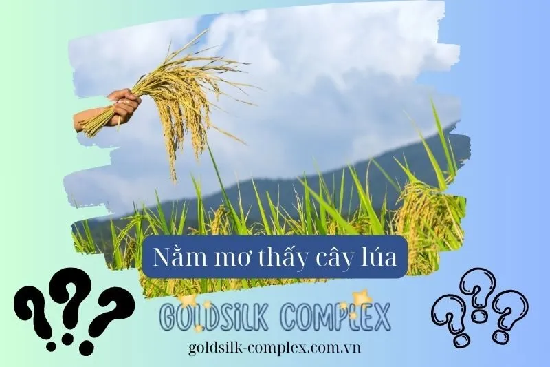 Ý Nghĩa Chi Tiết Khi Nằm Mơ Thấy Lúa