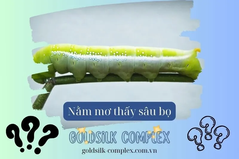 Ý nghĩa của việc nằm mơ thấy sâu bọ là gì