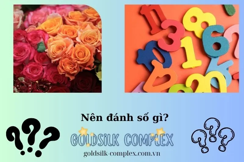 Các con số may mắn liên quan đến giấc mơ thấy hoa hồng