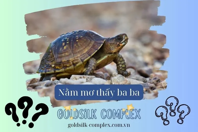 Các Điềm Báo Khác Nhau Khi Nằm Mơ Thấy Ba Ba