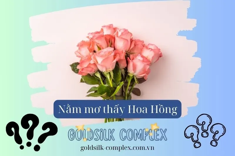 Các điềm báo khi nằm mơ thấy cây hoa hồng theo từng màu sắc
