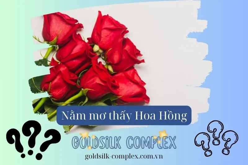Các tình huống khác nhau khi nằm mơ thấy hoa hồng