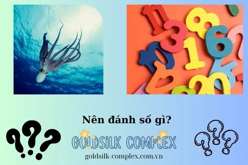 Con Số May Mắn Khi Mơ Thấy Bạch Tuộc Theo Từng Trường Hợp Cụ Thể