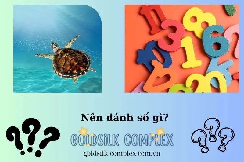 Con Số May Mắn Liên Quan Đến Giấc Mơ Thấy Ba Ba