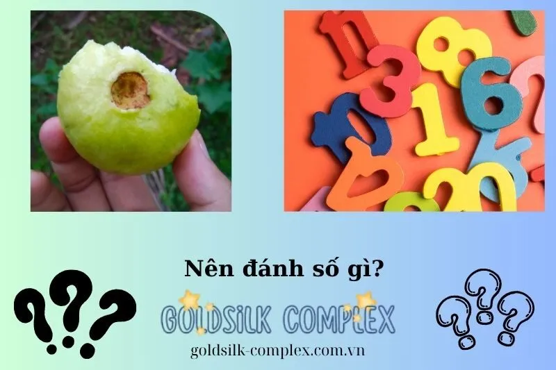 Con Số May Mắn Liên Quan Đến Giấc Mơ Thấy Ổi