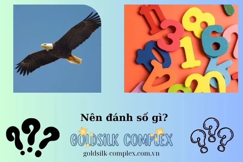 Con Số May Mắn Liên Quan Khi Nằm Mơ Thấy Đại Bàng