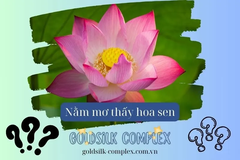 Điềm báo khi nằm mơ thấy các trạng thái khác nhau của hoa sen